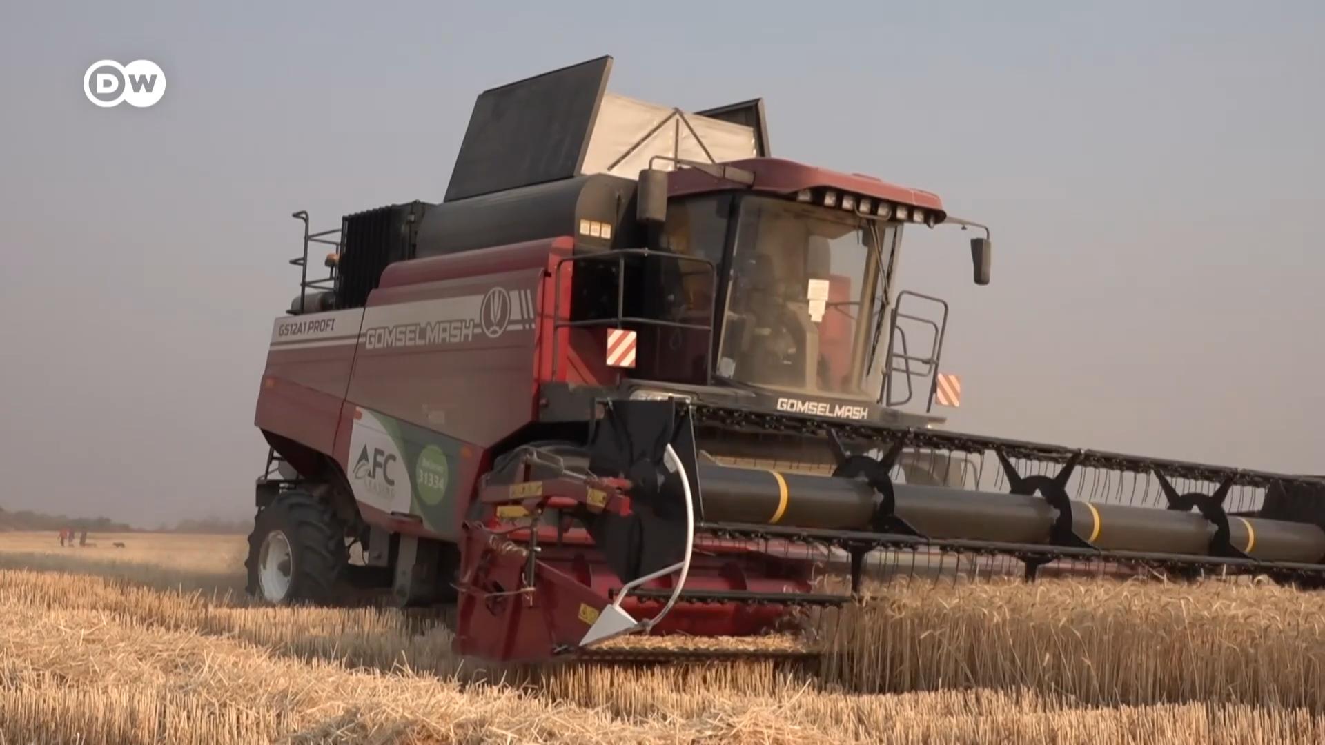 俄罗斯在乌克兰发动战争，导致全球许多产品短缺，小麦供应尤其不足。但危机有时也是转机。津巴布韦等国正计划实现小麦自给自足。在机械化和政府新政策的帮助下，津巴布韦今年的小麦收成预计将创新高。