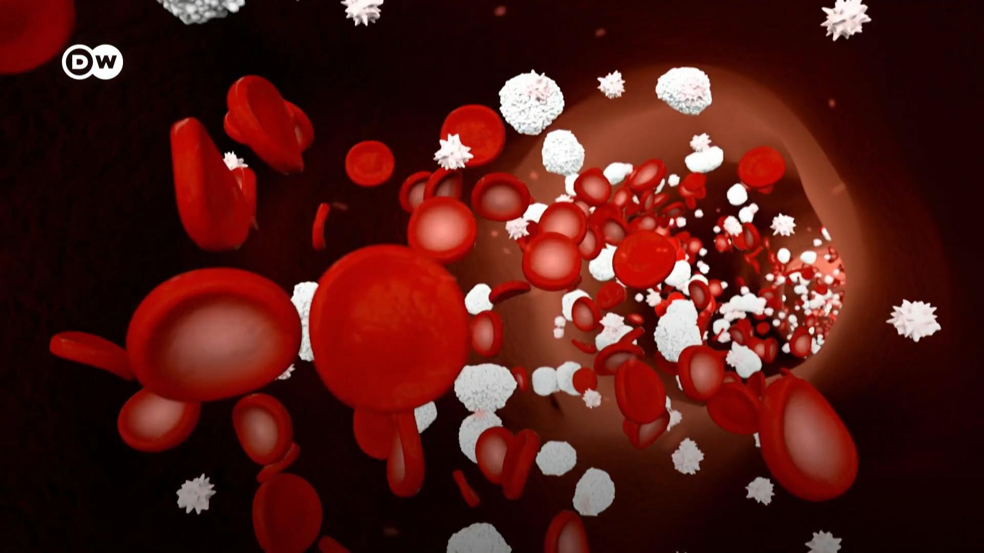 血液也称作液体器官，它向人体输送氧气，帮助排除二氧化碳。很多血液细胞仅存活数天，不停地新陈代谢。
