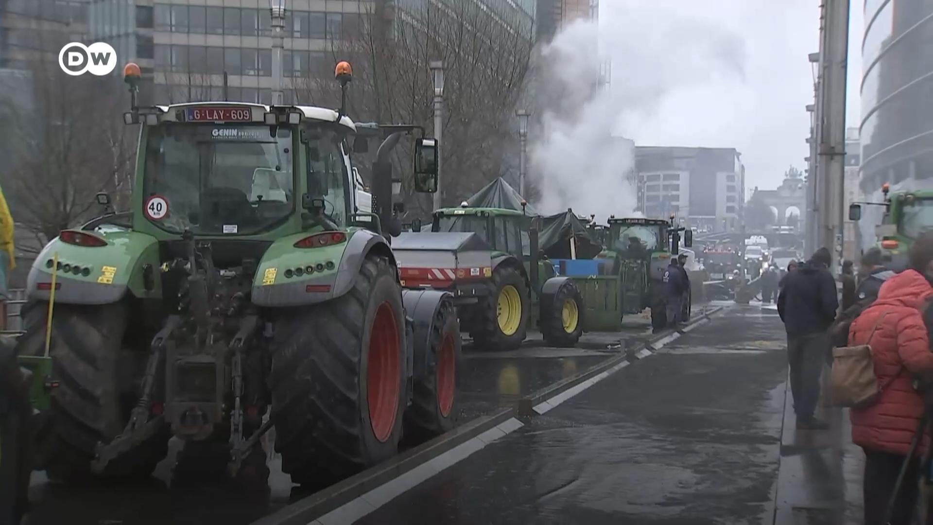 欧洲农民们又去欧盟总部抗议