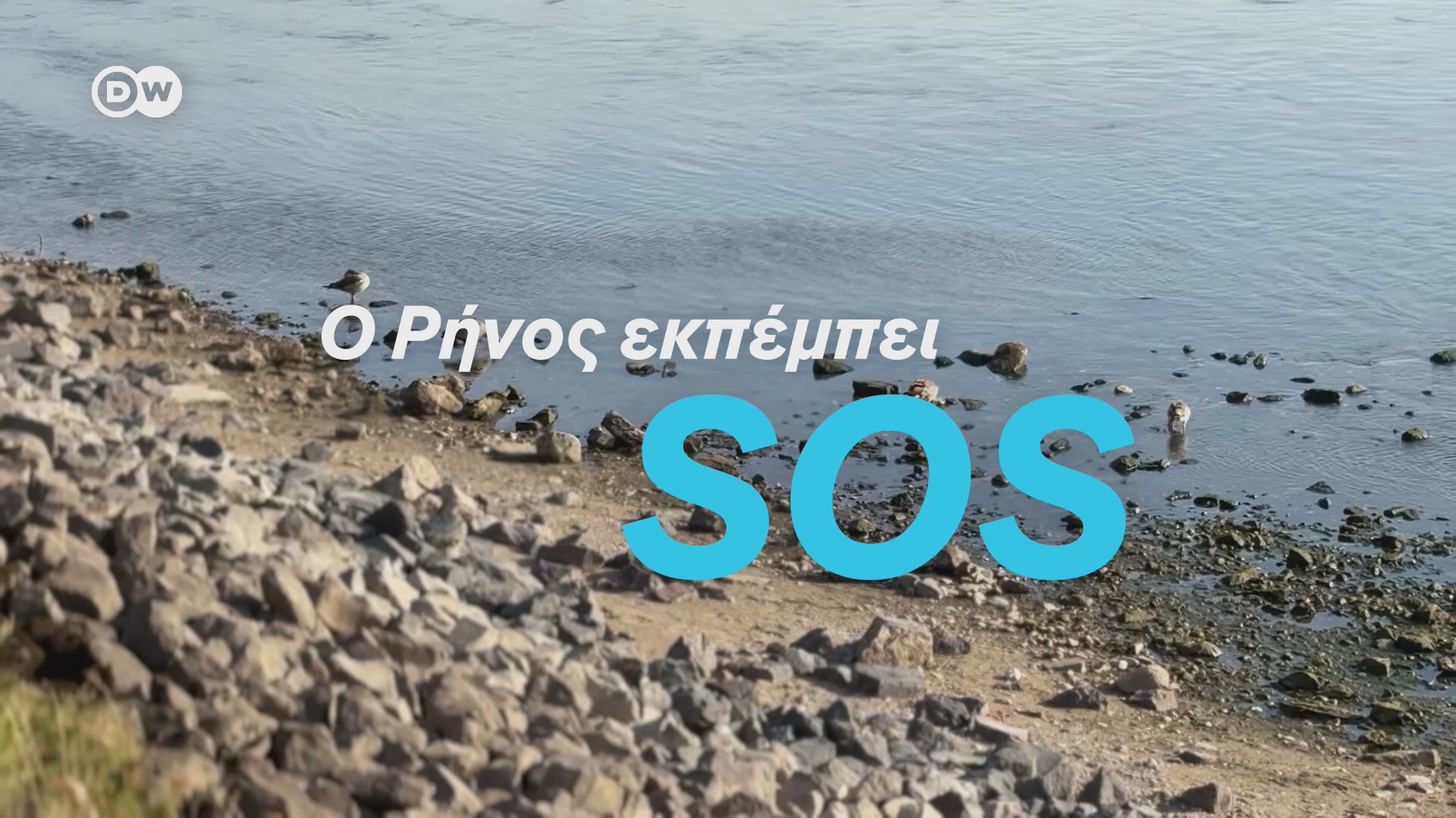 Ο Ρήνος εκπέμπει SOS